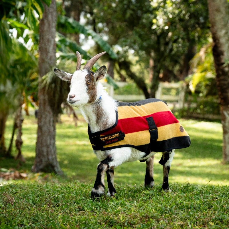 Horseware - Couverture polaire pour chèvre Newmarket witney gold | - Ohlala