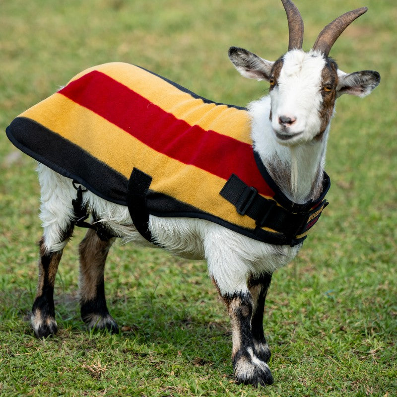 Horseware - Couverture polaire pour chèvre Newmarket witney gold | - Ohlala