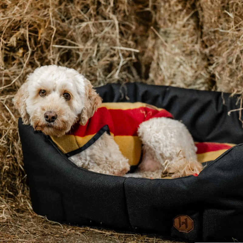 Horseware - Couverture polaire pour chien Newmarket witney gold