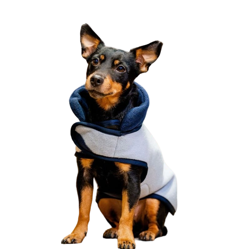 Horseware - Couverture polaire pour chiens Signature whitney marine | - Ohlala