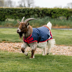 Horseware - Geitendeken marine/rood 0g | - Ohlala