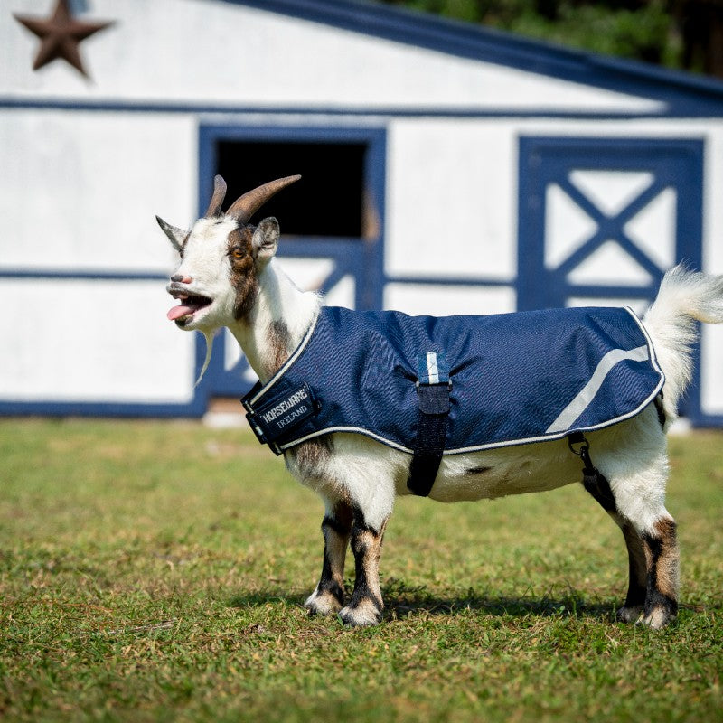 Horseware - Couverture pour chèvre witney navy 200g | - Ohlala