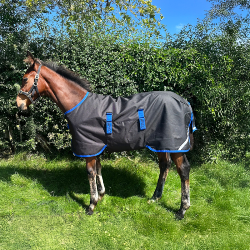 Horseware - Couverture d'extérieur Amigo Ripstop Foal Turnout noir/ classic blue 50g