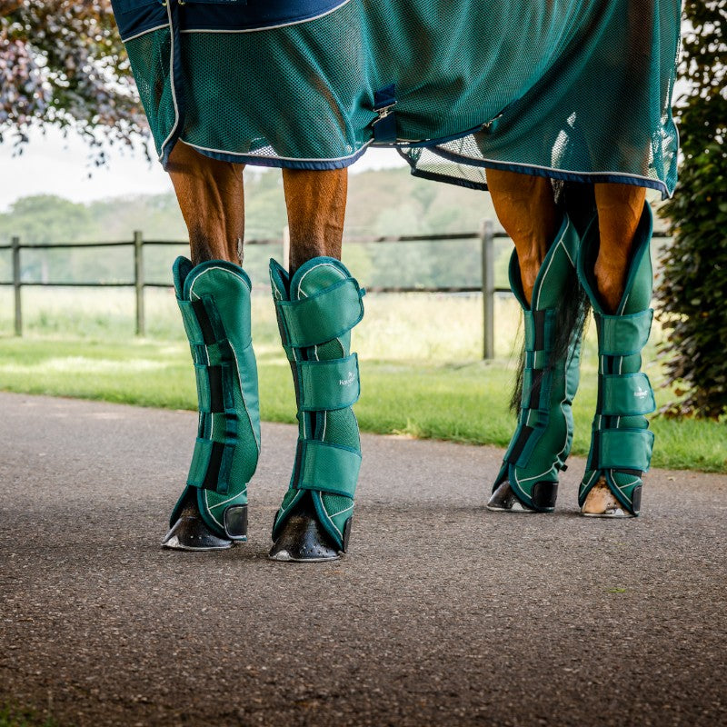 Horseware - Guêtres de transport Signature hunter green (x4) | - Ohlala