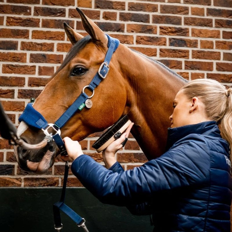 Horseware - Licol de pansage Signature Grooming marine | - Ohlala