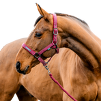Horseware - Halster en longe Amigo mulberry | - Ohlala