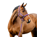 Horseware - Halster en loodlijn Amigo winterberry | - Ohlala