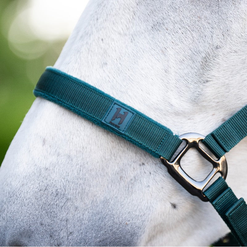 Horseware - Licol et longe dynasty green