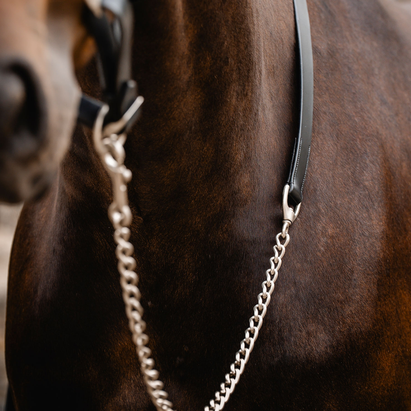 Horseware - Longe en cuir avec chaîne Signature noir