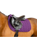 Horseware - Zadeldek Amigo GP winterberry | - Ohlala