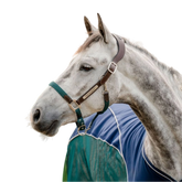 Horseware - Licol pour chevaux Signature Tressé marron/ marine/ hunter green | - Ohlala