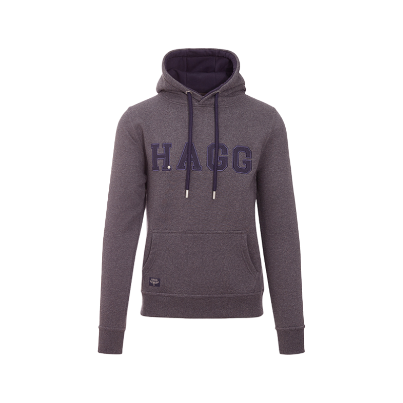 Sweat à capuche homme gris anthracite/ marine HAGG OHLALA