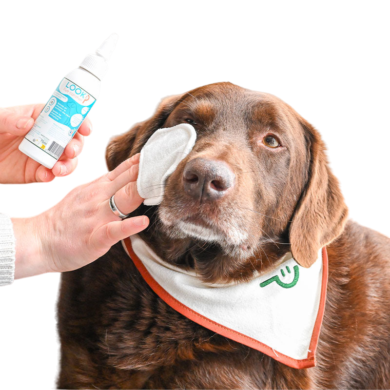 Happy Scoop - Oogreinigingslotion Look voor honden | - Ohlala