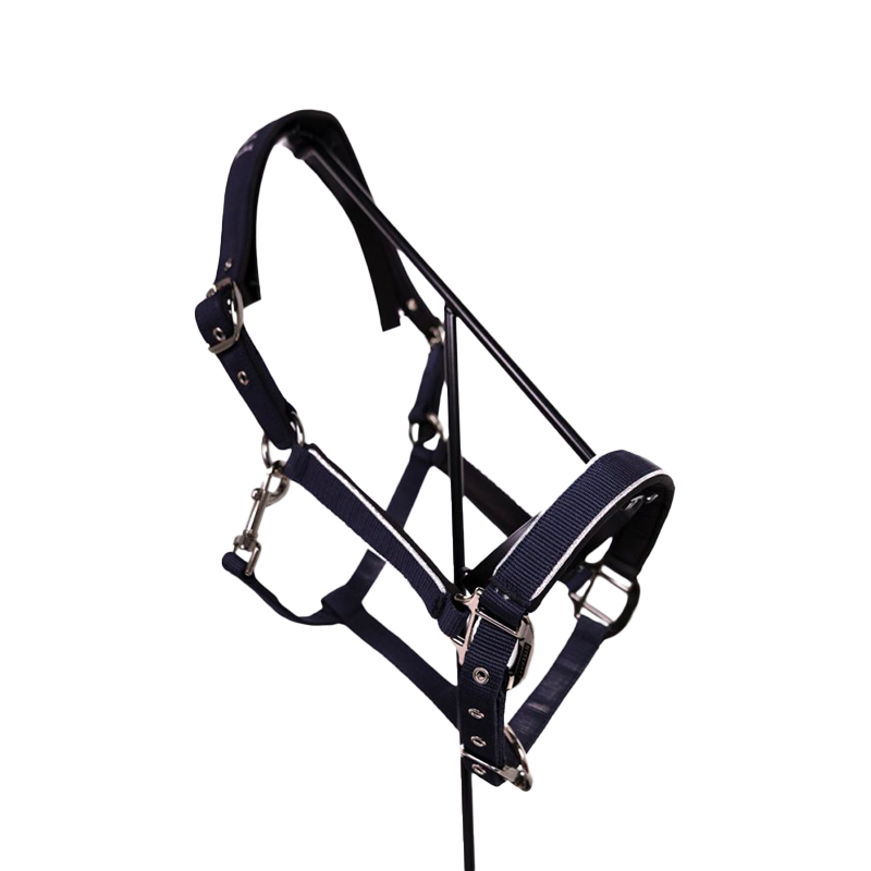 Harcour - Licol Bamara marine | - Ohlala