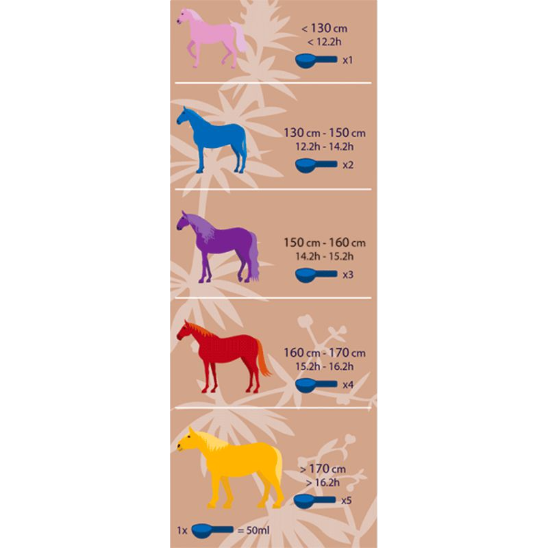 Hilton Herbs - Complément alimentaire Système immunitaire Equimmune | - Ohlala