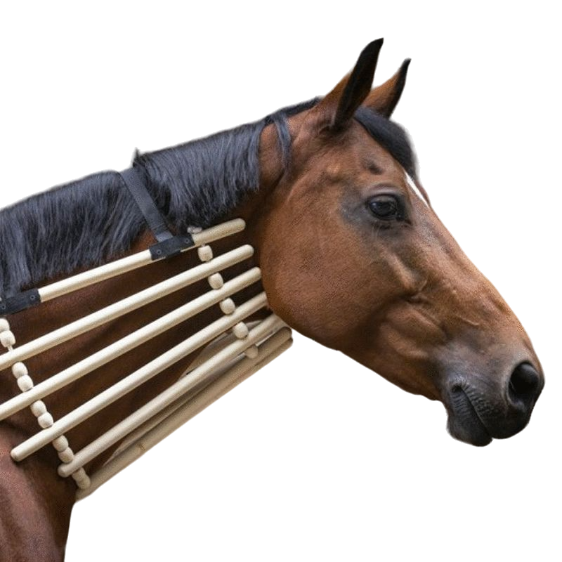 Hippotonic - Collier de bois | - Ohlala