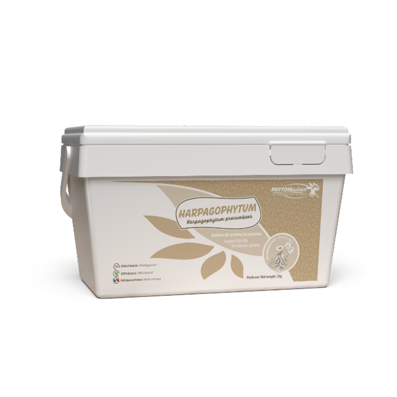 PhytoMaster - Complément alimentaire souplesse articulaire Harpagophytum Pur | - Ohlala