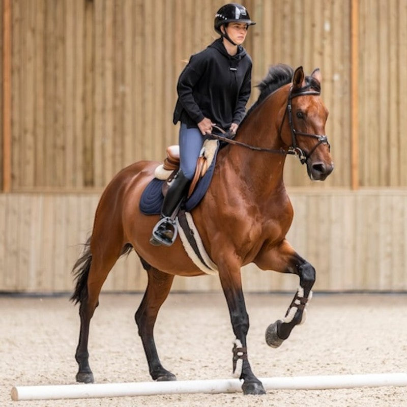 Horse Pilot - Sweat à capuche femme Team noir