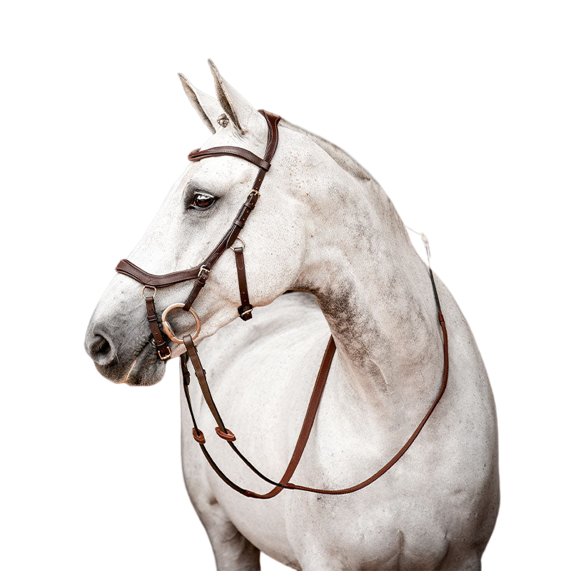 Bride De Compétition Rambo Micklem – Luxe, Horseware, Neuve