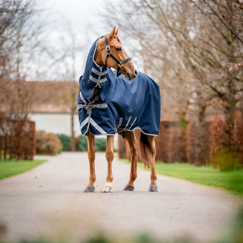 Horseware - Couverture d'extérieur Amigo Bravo Integrated Turnout marine/ titanium grey/ argent 250g | - Ohlala