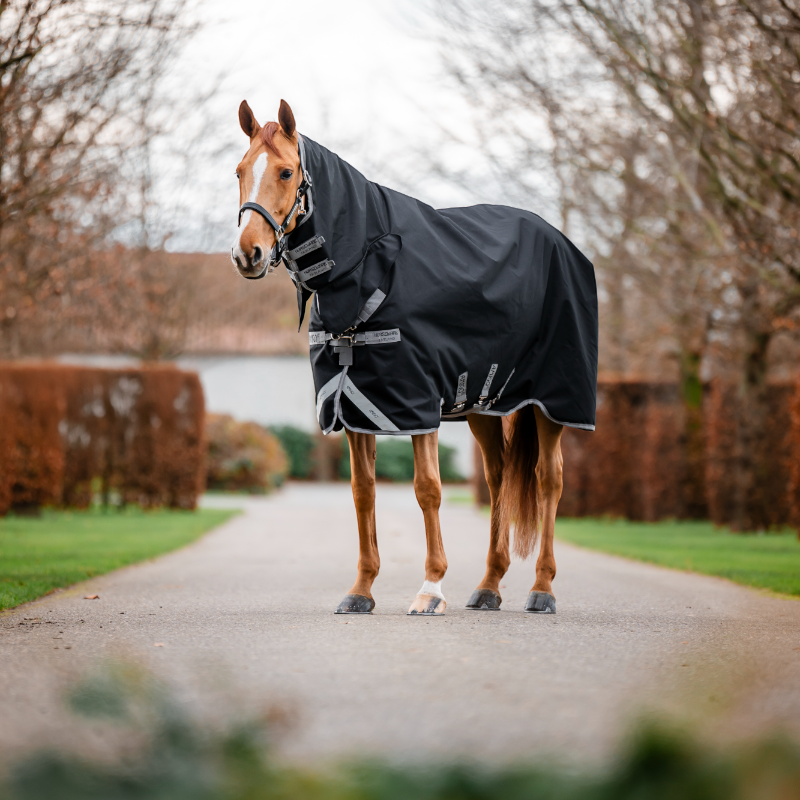 Horseware - Couverture d'extérieur Amigo Bravo Integrated Turnout noir/ titanium grey/ argent 150g