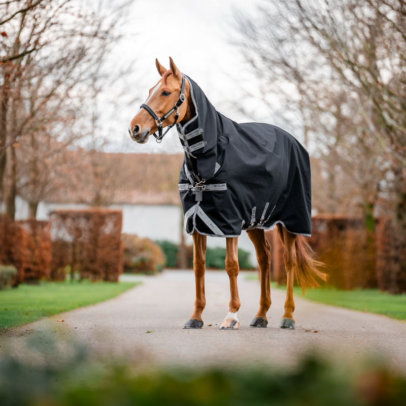 Horseware - Couverture d'extérieur Amigo Bravo Integrated Turnout noir/ titanium grey/ argent 250g | - Ohlala