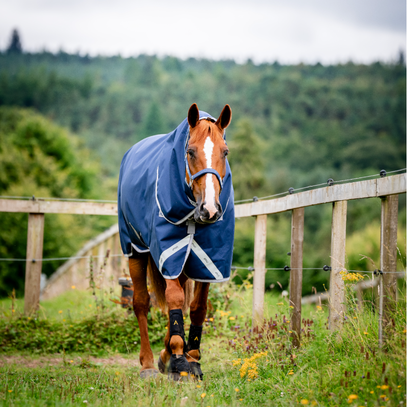 Horseware - Couverture d'extérieur Amigo Bravo Plus Turnout marine/ titanium grey/ argent 100g