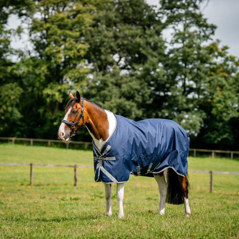 Horseware - Couverture d'extérieur Amigo Bravo XL Turnout marine/ titanium grey/ argent 150g