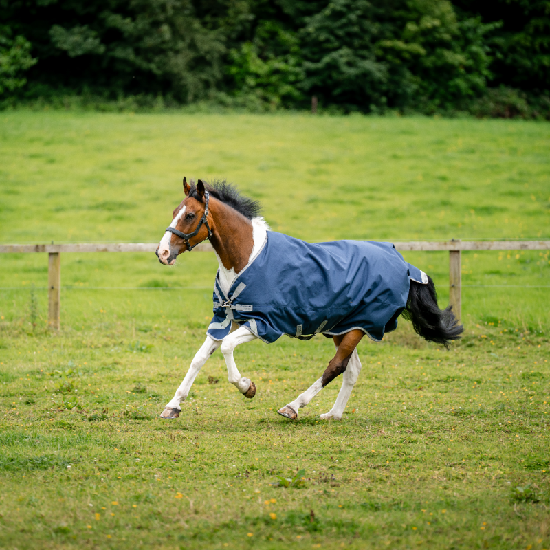Horseware - Couverture d'extérieur Amigo Bravo XL Turnout marine/ titanium grey/ argent 150g