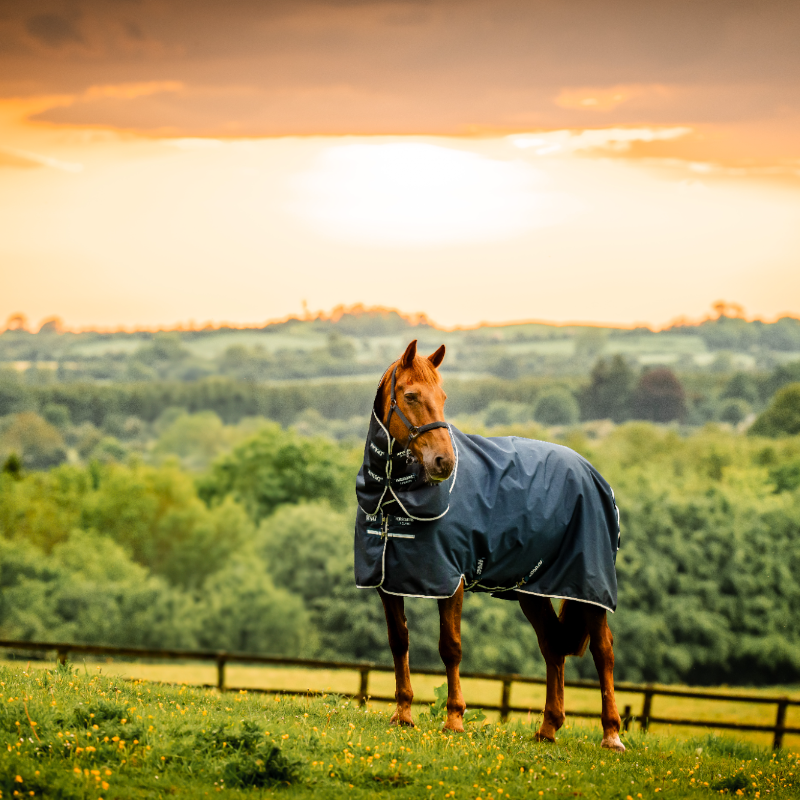 Horseware - Couverture d'extérieur Amigo Ripstop Plus Turnout witney navy 100g