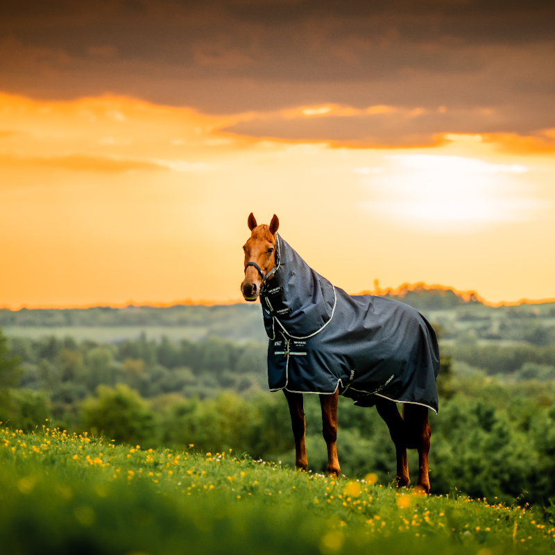 Horseware - Couverture d'extérieur Amigo Ripstop Plus Turnout witney navy 100g