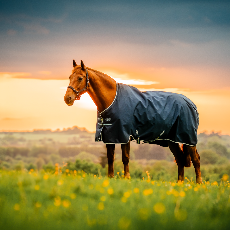 Horseware - Couverture d'extérieur Amigo Ripstop Pony Turnout witney navy 200g | - Ohlala
