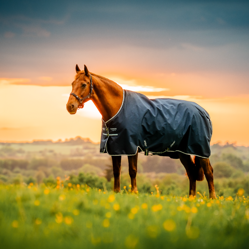 Horseware - Couverture d'extérieur Amigo Ripstop Pony Turnout witney navy 50g | - Ohlala