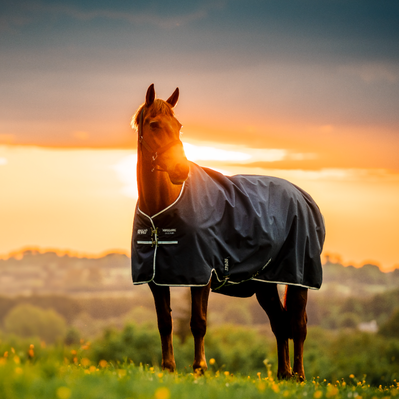 Horseware - Couverture d'extérieur Amigo Ripstop Turnout doublé polaire witney navy 50g