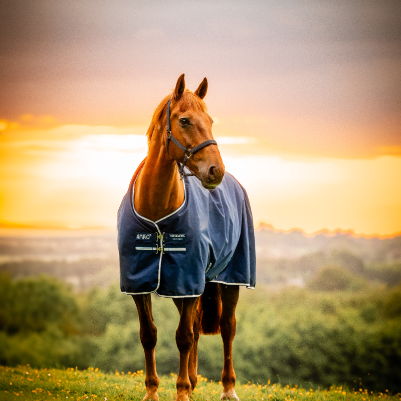 Horseware - Couverture d'extérieur Amigo Ripstop Turnout doublé polaire witney navy 50g