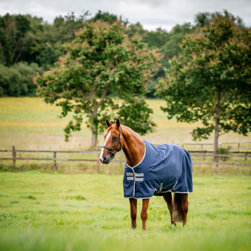 Horseware - Couverture d'extérieur Amigo Ripstop Turnout marine/ titanium grey 100g | - Ohlala