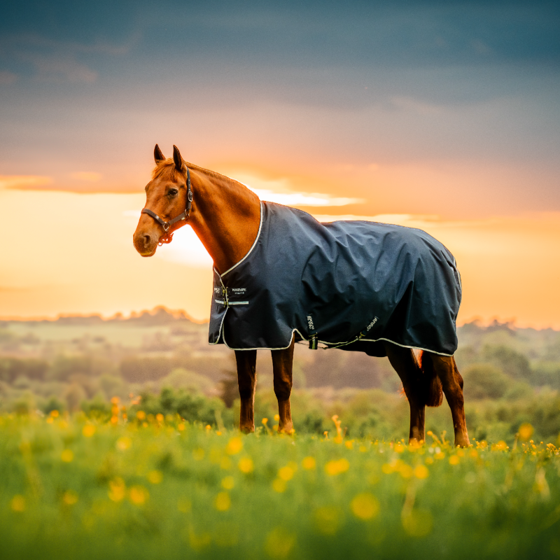 Horseware - Couverture d'extérieur Amigo Ripstop Turnout witney/ marine 200g