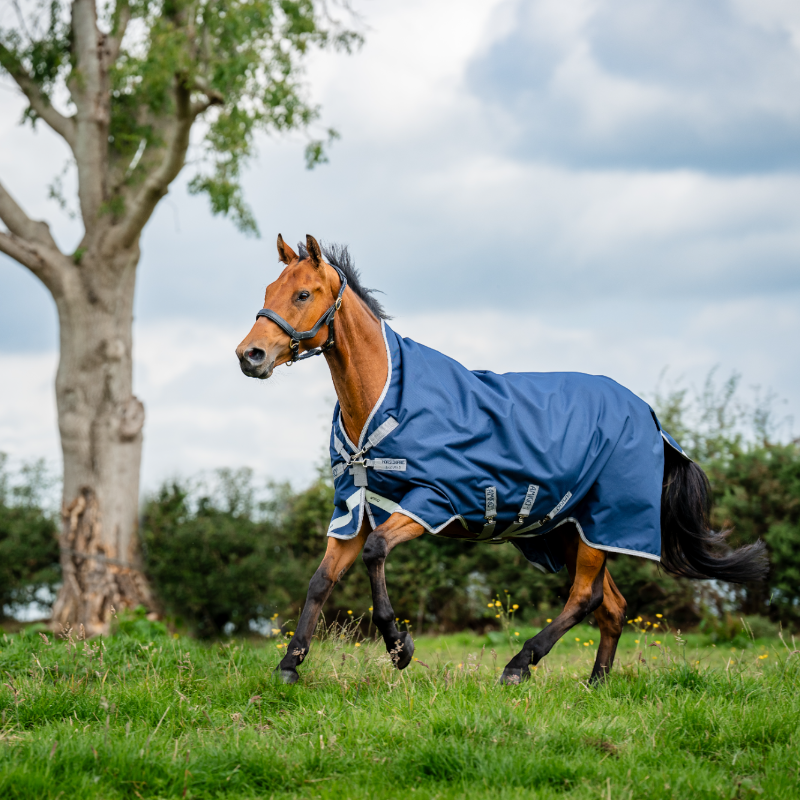 Horseware - Couverture d'extérieur Amigo Wug Turnout marine/ titanium grey/ argent 150g | - Ohlala