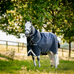 Horseware - Rambo Plus Turnout buitendeken marine/ thunderstorm grey/ zilver 100g | - Ohlala
