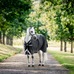 Horseware - Rambo Turnout VL buitendeken zwart/ thunderstorm grijs/ zilver 450g | - Ohlala