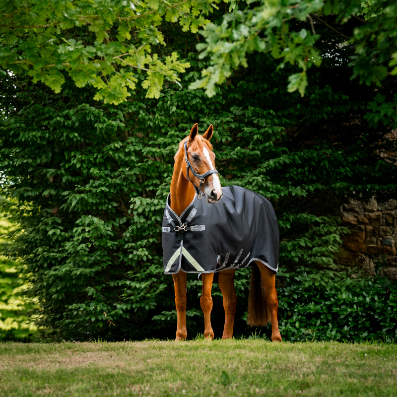 Horseware - Couverture d'extérieur Rambo Turnout noir/ thunderstorm gris/ argent 50g