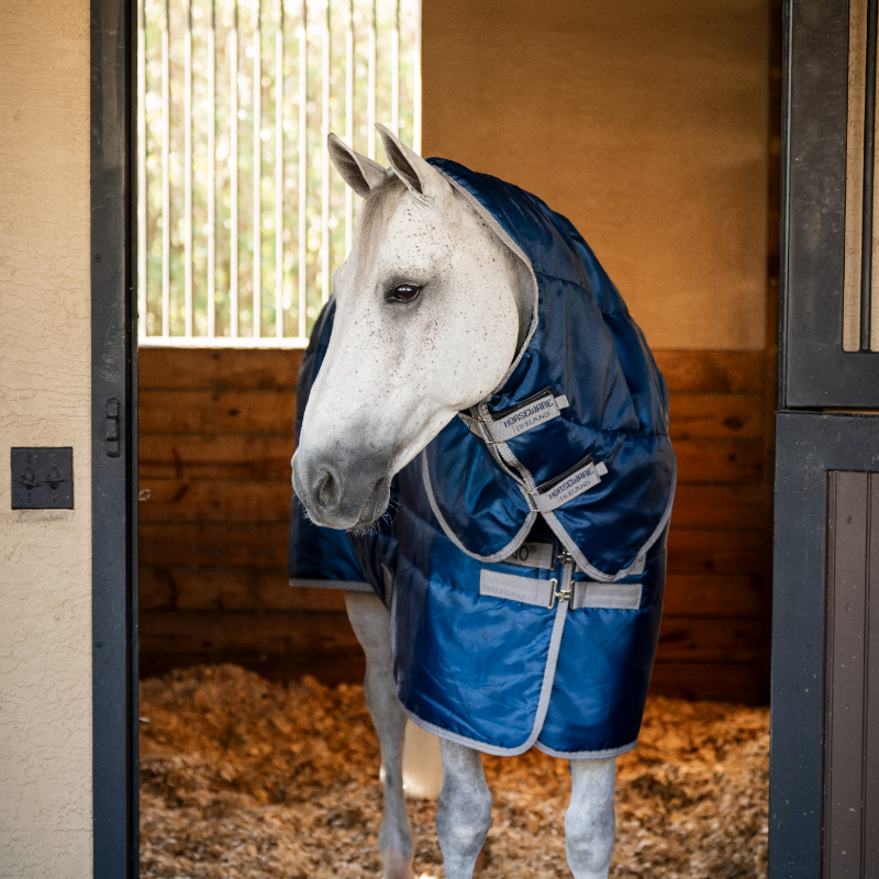 Horseware - Couverture de box Amigo Ripstop Insulator Plus Stable marine/ titanium grey 550g