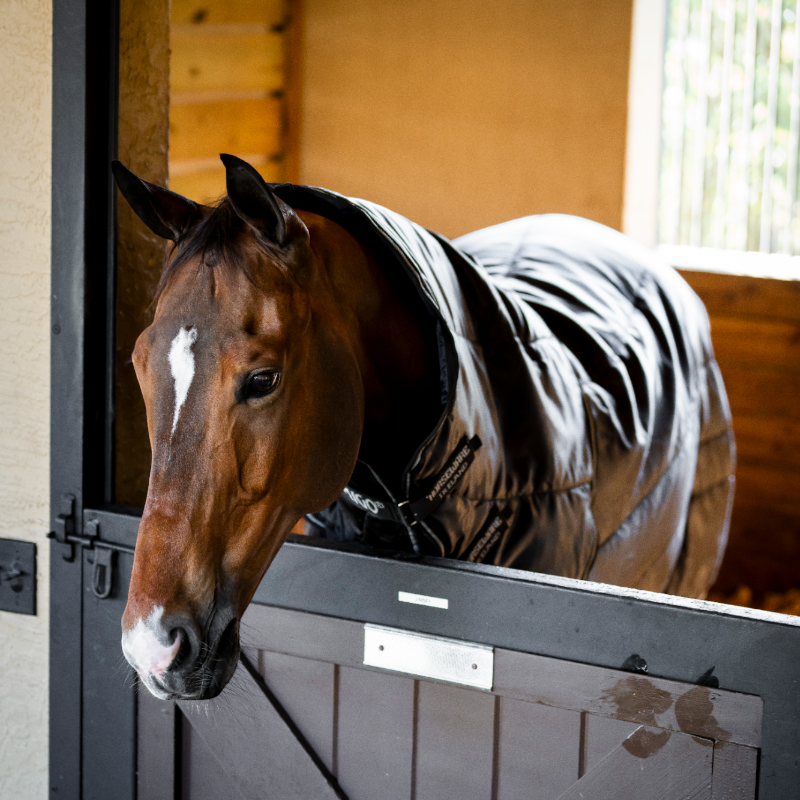 Horseware - Couverture de box Amigo Ripstop Insulator Plus Stable noir/ argent 200g