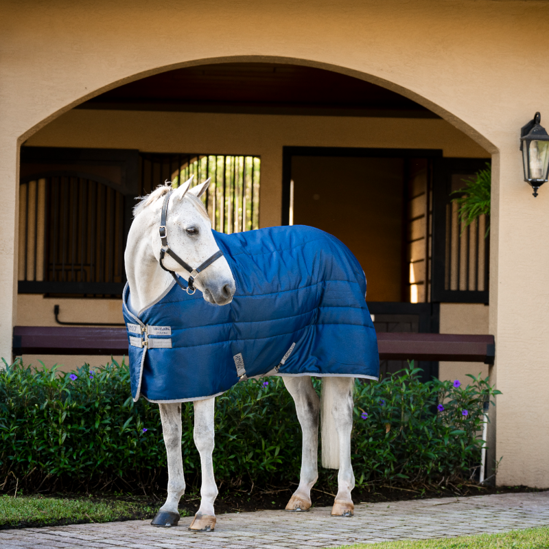 Horseware - Couverture de box Amigo Ripstop Insulator Pony Stable marine/ titanium grey 100g