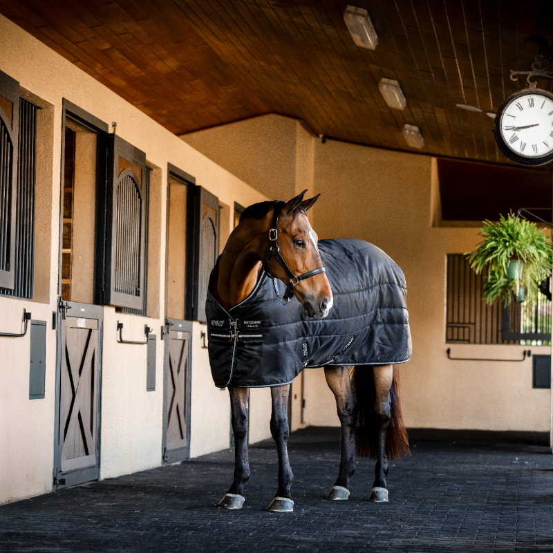 Horseware - Couverture de box Amigo Ripstop Insulator Stable noir/ argent 350g