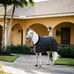 Horseware - Stalrug Rhino Stable zwart/ grijs/ wit geruit/ grijs 100g | - Ohlala