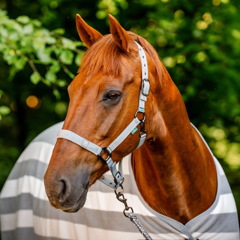 Horseware - Couverture polaire Newmarket witney charcoal