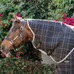 Horseware - Rhino Stable nekdeken zwart/ grijs/ wit geruit/ grijs 200g | - Ohlala