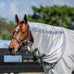 Horseware - Vliegennek Amigo Bug Rug zilver/ titanium grey/ zilver | - Ohlala