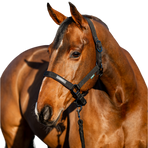 Horseware - Halster en loodlijn Amigo zwart | - Ohlala